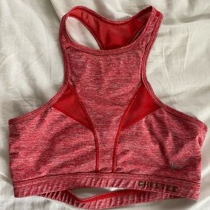 Chestee sports bra